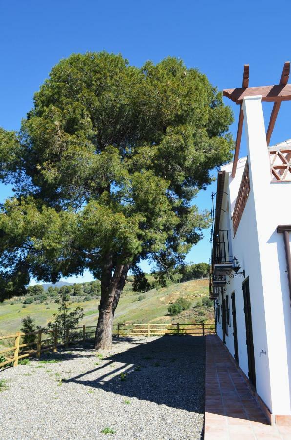 Casa Grande / Rosas Cantares 匹扎拉 外观 照片